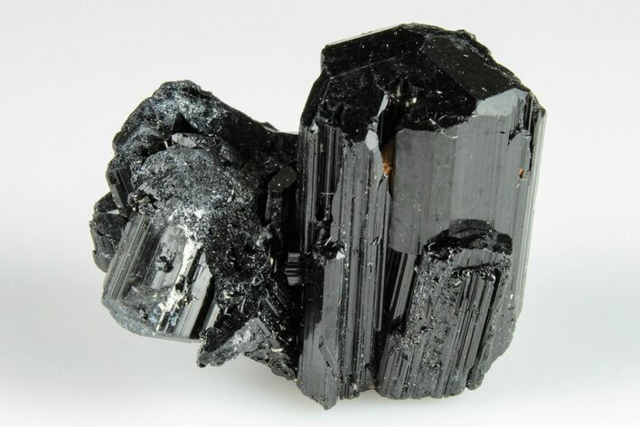Terminated Black Tourmaline (Schorl) Crystal Cluster - Madagascar #200406